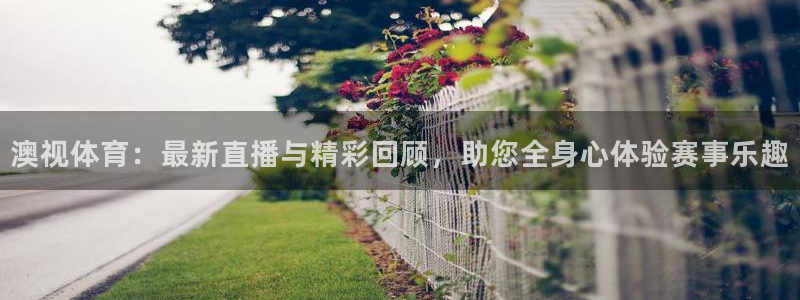 咪咕视频安装包下载：澳视体育：最新直播与精彩回顾，助您全身心体验赛事乐趣