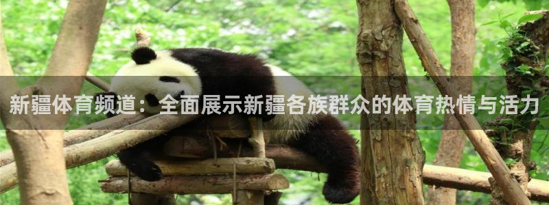 咪咕高清免费直播：新疆体育频道：全面展示新疆各族群众的体育热情与活力