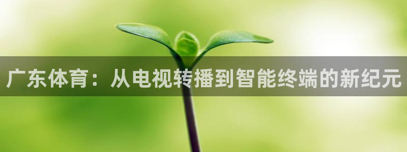 咪咕体育录像回放：广东体育：从电视转播到智能终端的新纪元