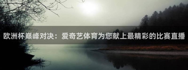 下载咪咕体育直播视频：欧洲杯巅峰对决：爱奇艺体育为您献上最精彩的比赛直播