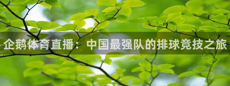 咪咕视频体育直播收费吗：企鹅体育直播：中国最强队的排球竞技之旅