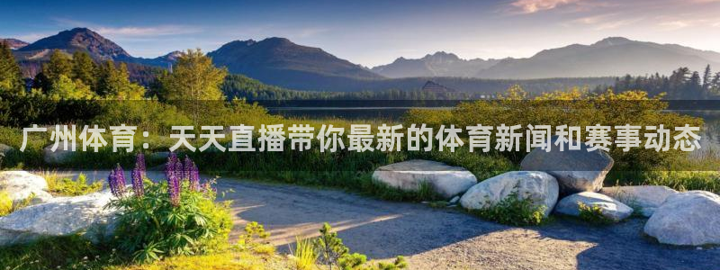 咪咕篮球赛现场直播：广州体育：天天直播带你最新的体育新闻和赛事动态