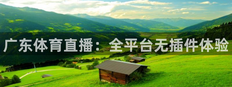 咪咕足球直播免费观看：广东体育直播：全平台无插件体验
