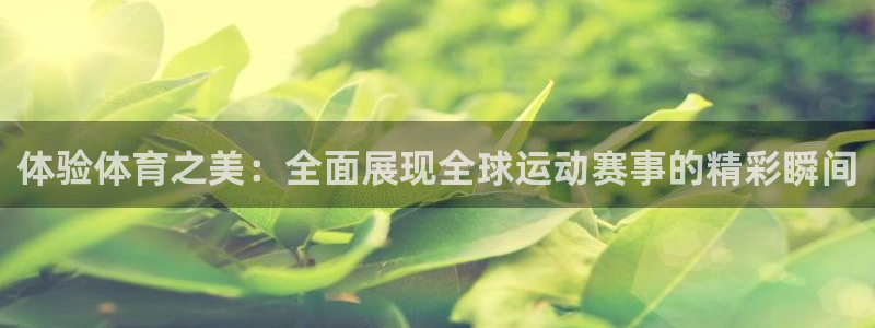 咪咕电视直播：体验体育之美：全面展现全球运动赛事的精彩瞬间